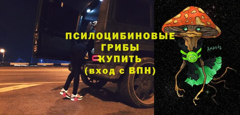 Галлюциногенные грибы ЛСД  Любим 